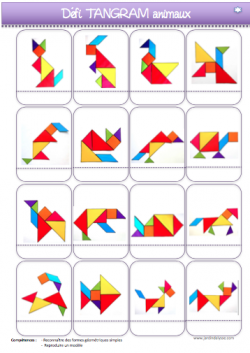 Fiches De Suivi Du D Fi Tangram Le Jardin D Alysse